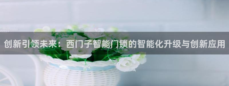 利记正式官网：创新引领未来：西门子智能门锁的智能化升级与创新