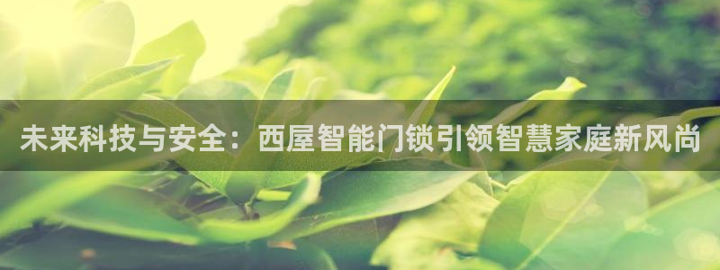 SBOBET利记官网：未来科技与安全：西屋智能门锁引领智慧家