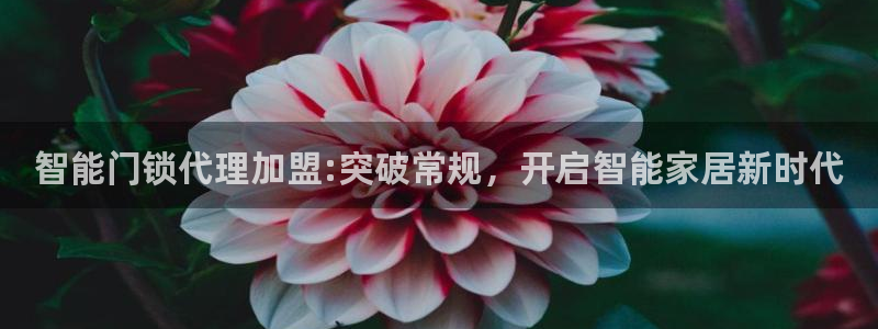 万利记官网