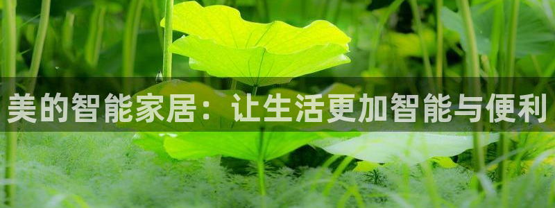 利记坊官网注册账号申请：美的智能家居：让生活更加智能与便利