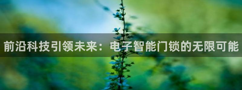 利记官网入口最新版：前沿科技引领未来：电子智能门锁的无限可能