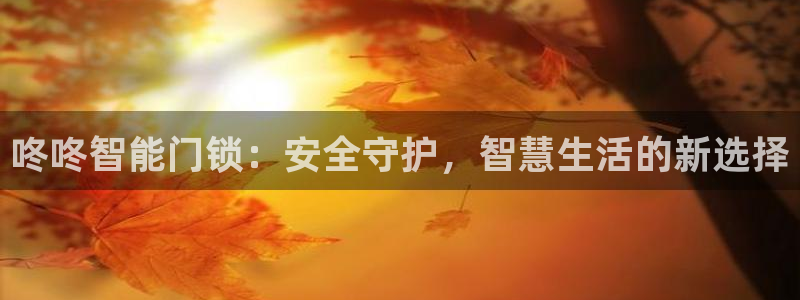利记坊官网登录：咚咚智能门锁：安全守护，智慧生活的新选择