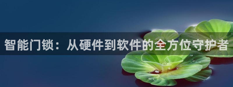 利记官网行业领导者：智能门锁：从硬件到软件的全方位守护者