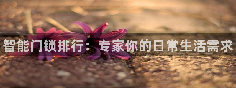 利记官网登录：智能门锁排行：专家你的日常生活需求