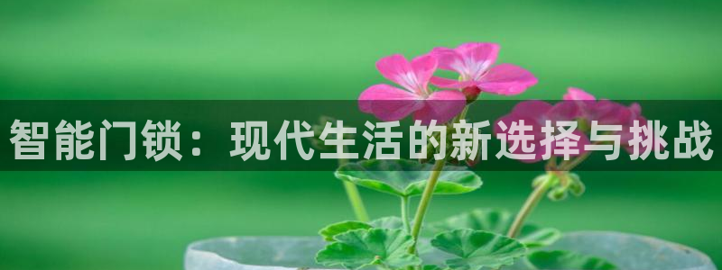 利记bet官网登录入口：智能门锁：现代生活的新选择与挑战