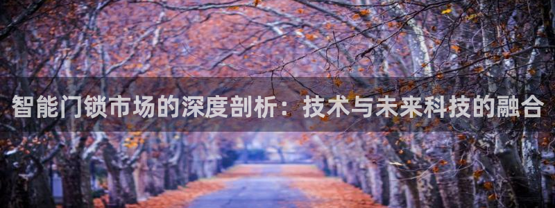 利记手机官网银河网