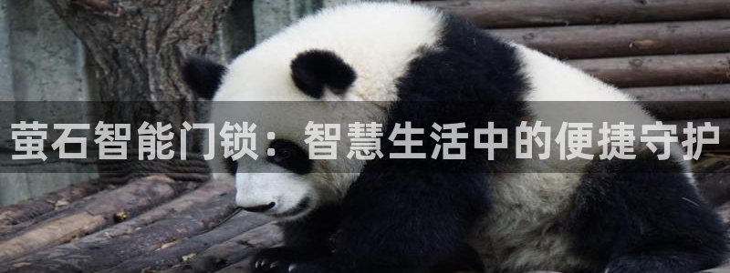 铂利记旗舰店官网电话