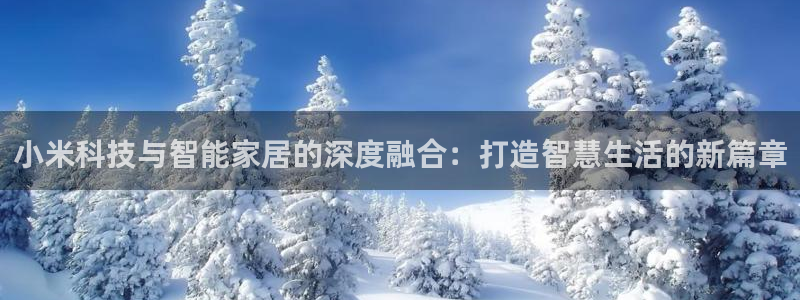 万利记官网电话：小米科技与智能家居的深度融合：打造智慧生活的