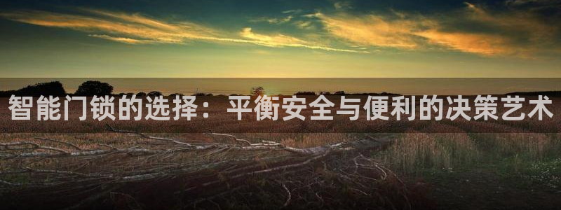 利记88官网app：智能门锁的选择：平衡安全与便利的决策艺术