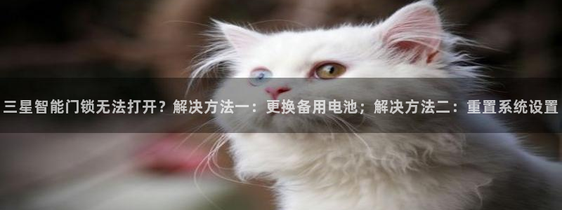 利记手机官网入口：三星智能门锁无法打开？解决方法一：更换备用