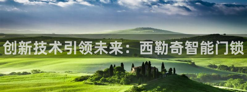 利记游戏官网：创新技术引领未来：西勒奇智能门锁