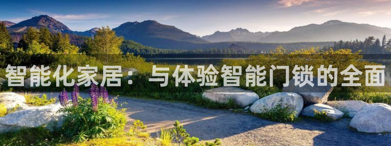 利记网官网网址：智能化家居：与体验智能门锁的全面