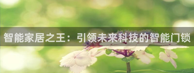 利记 官网：智能家居之王：引领未来科技的智能门锁