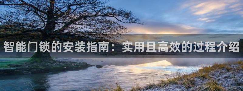 利记官网多少：智能门锁的安装指南：实用且高效的过程介绍