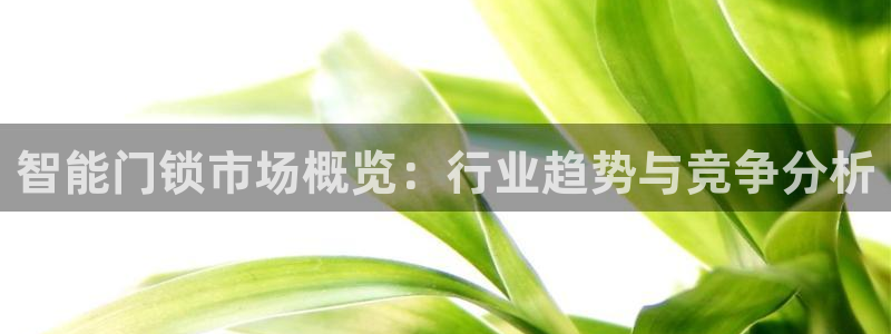利记娱乐网唯一官网：智能门锁市场概览：行业趋势与竞争分析