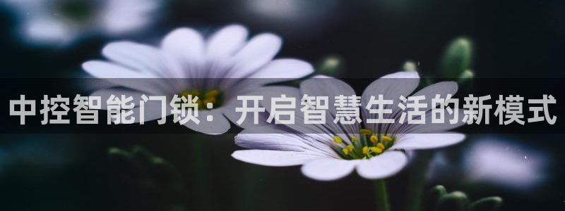 利记官网日亚运比：中控智能门锁：开启智慧生活的新模式