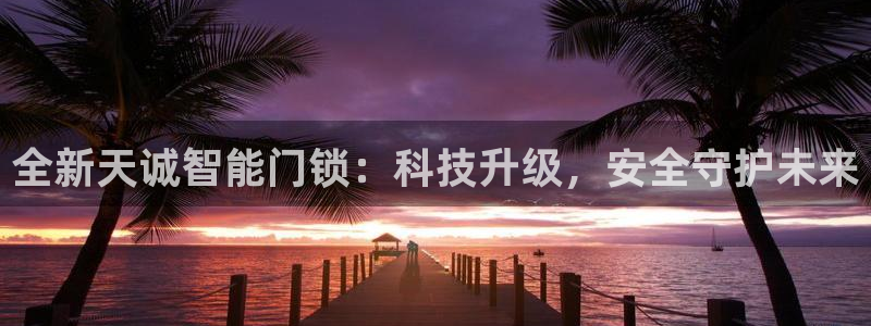 利记sbobet官网：全新天诚智能门锁：科技升级，安全守护未