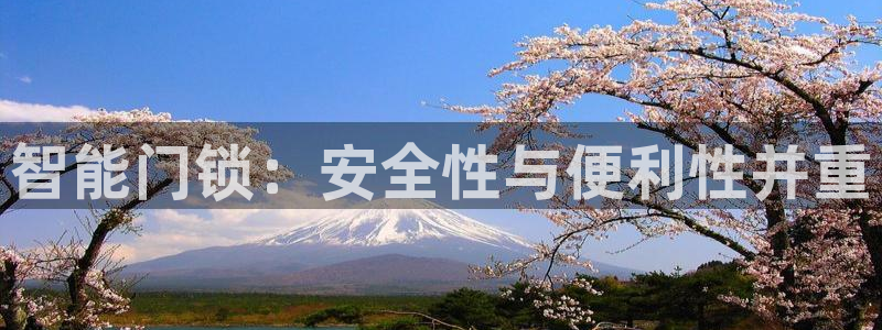 万利记官方旗舰店官网：智能门锁：安全性与便利性并重