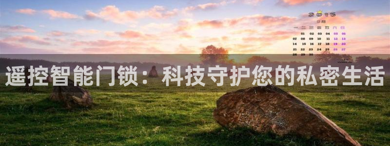 利记app官网入口：遥控智能门锁：科技守护您的私密生活