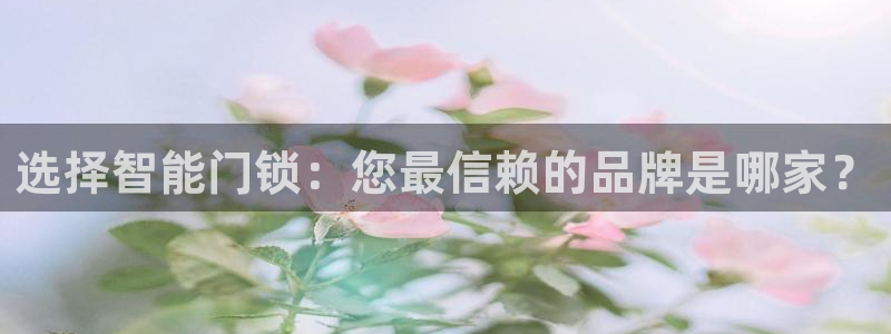 利记官网注册：选择智能门锁：您最信赖的品牌是哪家？