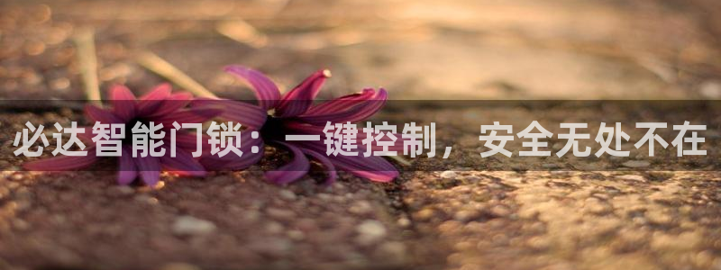 利记手机官网葡京备用：必达智能门锁：一键控制，安全无处不在