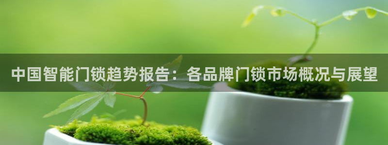 利记正式官网