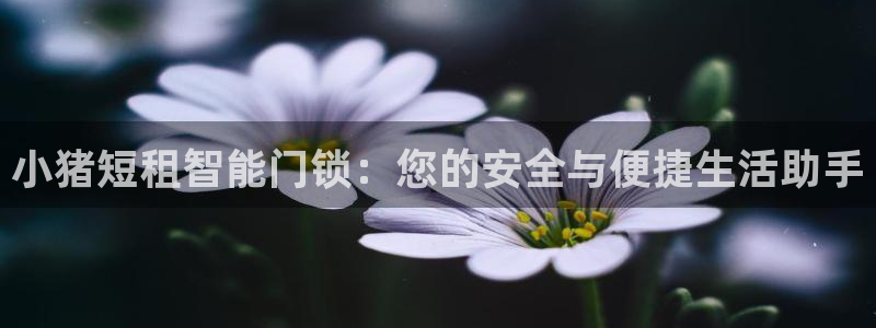 利记手机官网银河网：小猪短租智能门锁：您的安全与便捷生活助手