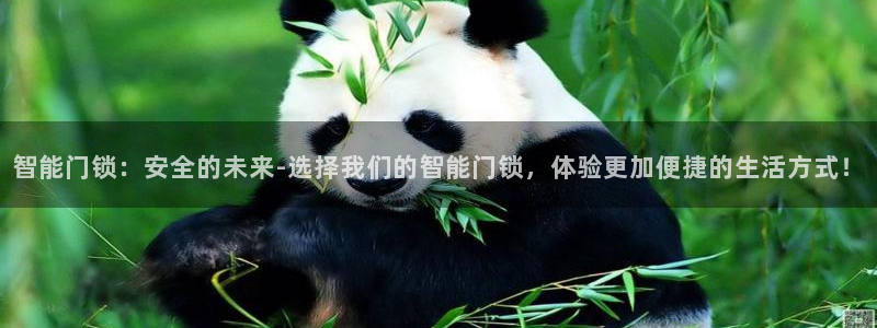 利记官网是多少