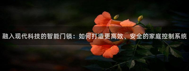 利记博彩官网APP：融入现代科技的智能门锁：如何打造更高效、