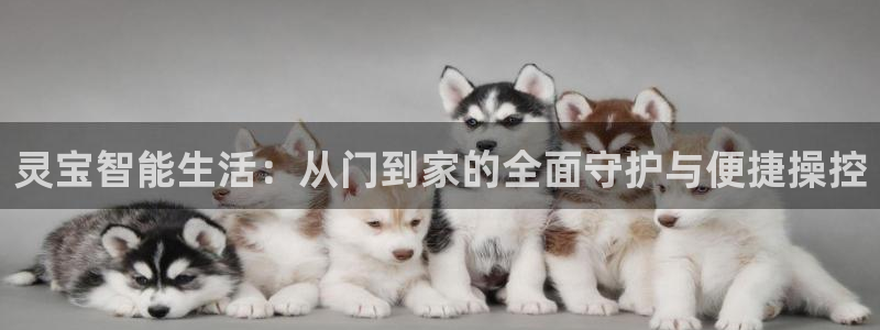 利记正式官网