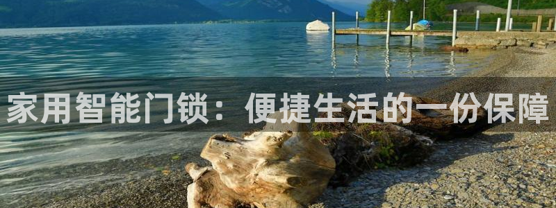 利记官网app下载：家用智能门锁：便捷生活的一份保障