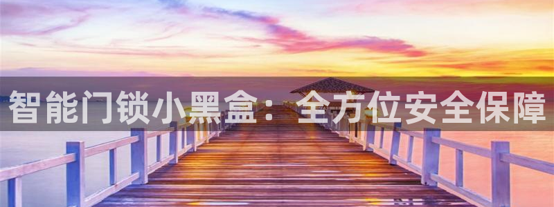 利记集团官网：智能门锁小黑盒：全方位安全保障