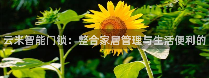 利记彩票网网址官网hd71：云米智能门锁：整合家居管理与生活