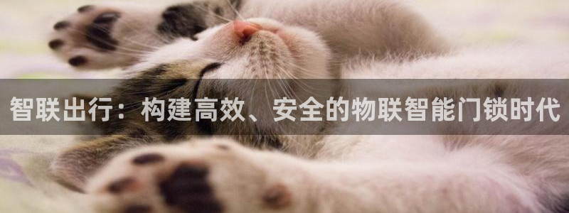 利记国际官网