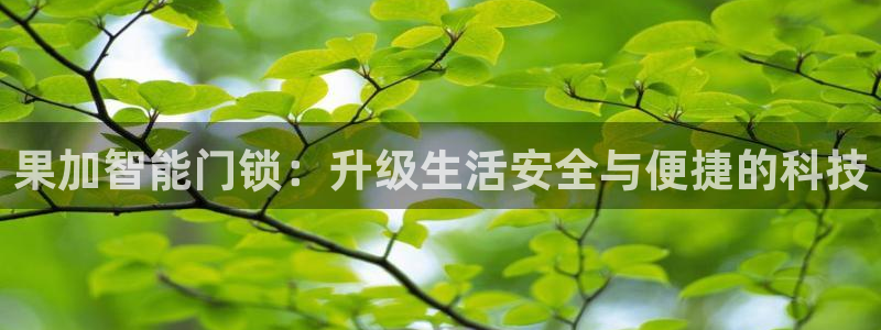 利记官网备用网址：果加智能门锁：升级生活安全与便捷的科技
