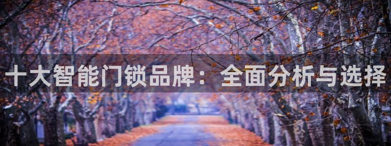 利记真的官网：十大智能门锁品牌：全面分析与选择