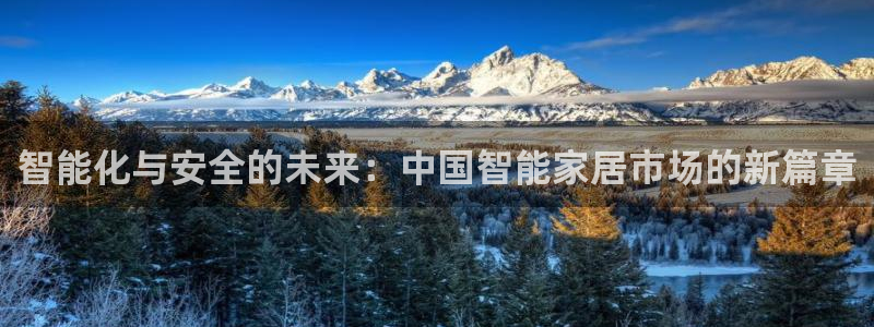 利记投注平台官网：智能化与安全的未来：中国智能家居市场的新篇