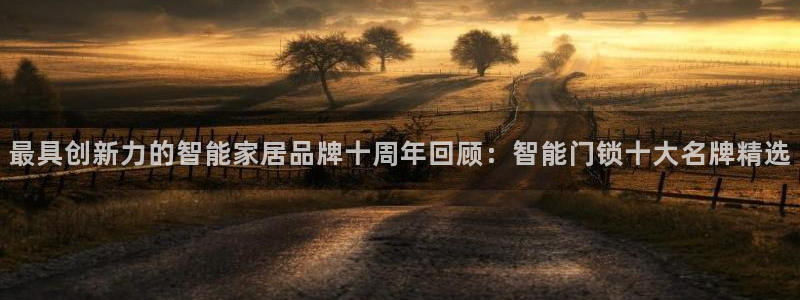 利记坊官网：最具创新力的智能家居品牌十周年回顾：智能门锁十大