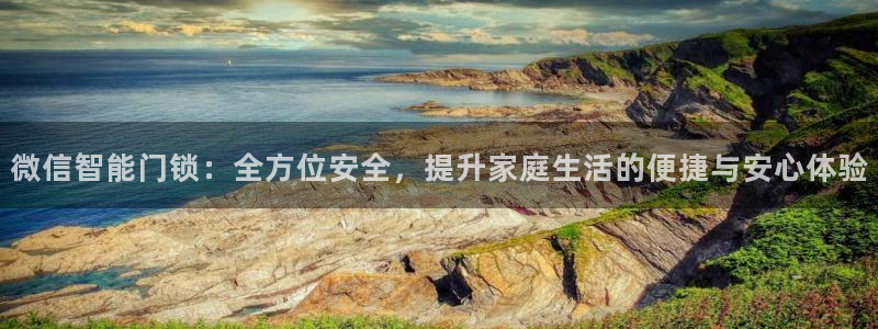 利记体育投注官网：微信智能门锁：全方位安全，提升家庭生活的便