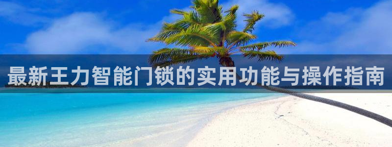 利记信誉官网：最新王力智能门锁的实用功能与操作指南