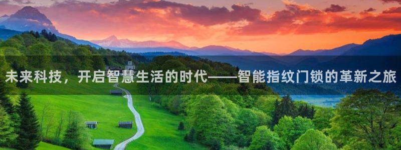 利记体育投注官网：未来科技，开启智慧生活的时代——智能指纹门
