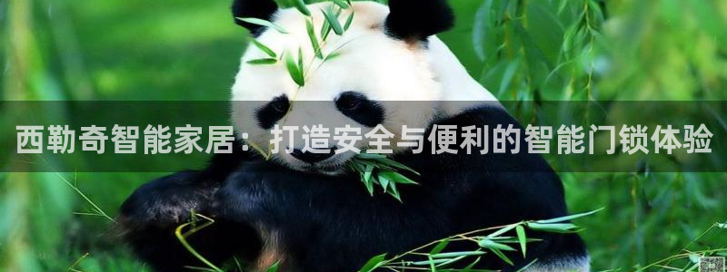 万利记菜单价格查询官网：西勒奇智能家居：打造安全与便利的智能