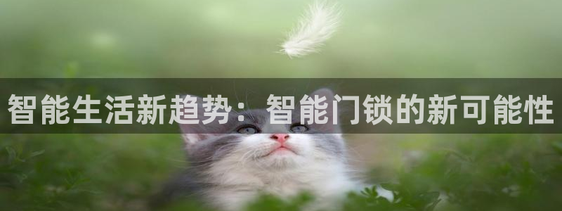 新利记官网：智能生活新趋势：智能门锁的新可能性