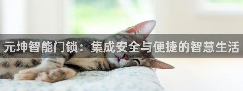 利记坊官网注册账号：元坤智能门锁：集成安全与便捷的智慧生活