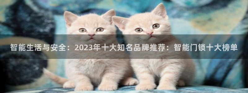 sbo利记体育官网