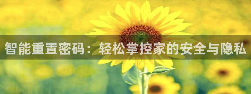 利记国际线址官网：智能重置密码：轻松掌控家的安全与隐私