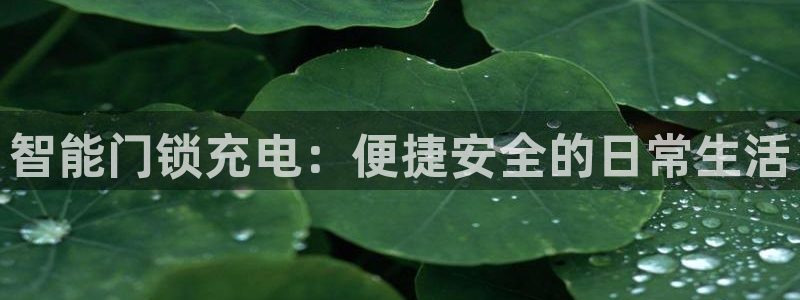 万利记官网电话