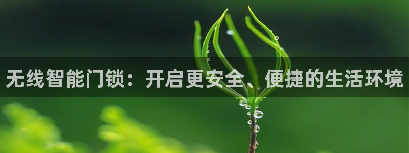 利记手机官网bb电子平台官方：无线智能门锁：开启更安全、便捷
