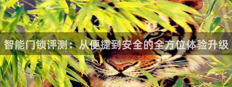 利记官网香菜1：智能门锁评测：从便捷到安全的全方位体验升级