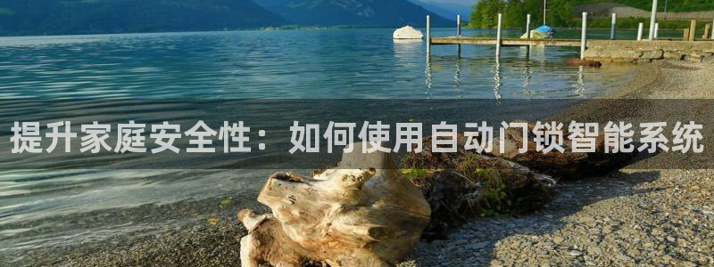 利记官网app：提升家庭安全性：如何使用自动门锁智能系统